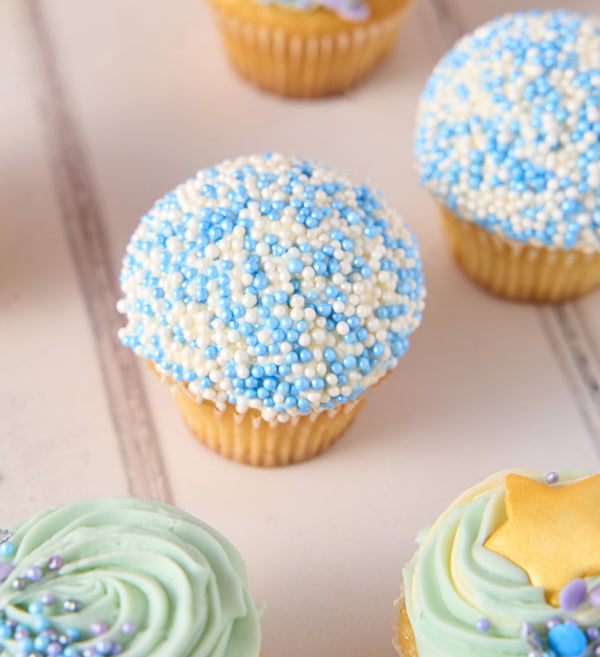 Blue Mini Cupcake Box