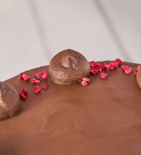 Vegan and Gluten Free Fudge Nationwide Cake