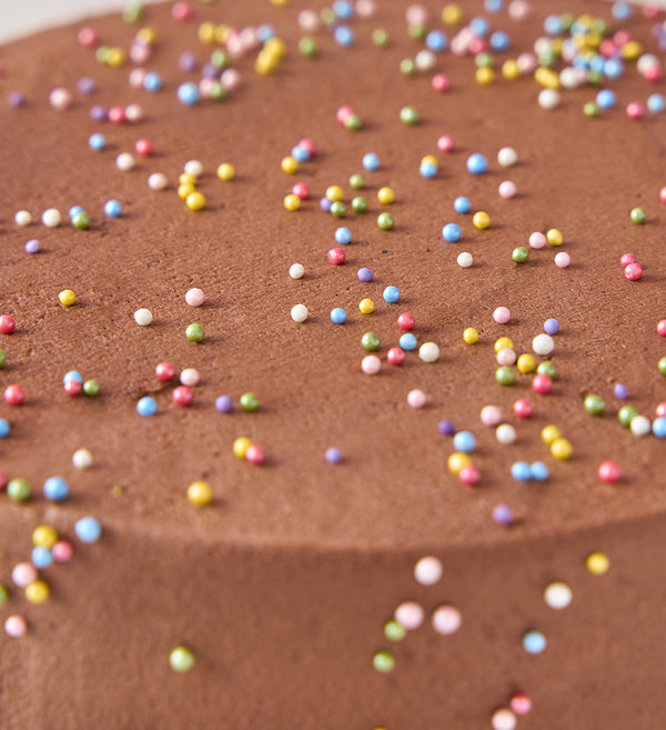 Rainbow Chocolate Cake