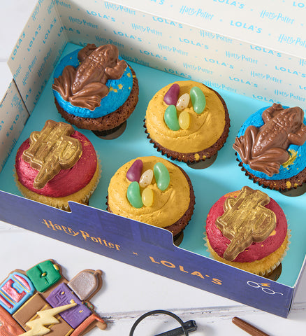 Harry Potter Nationwide Cupcake Box