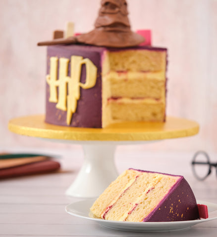 Harry Potter Cake