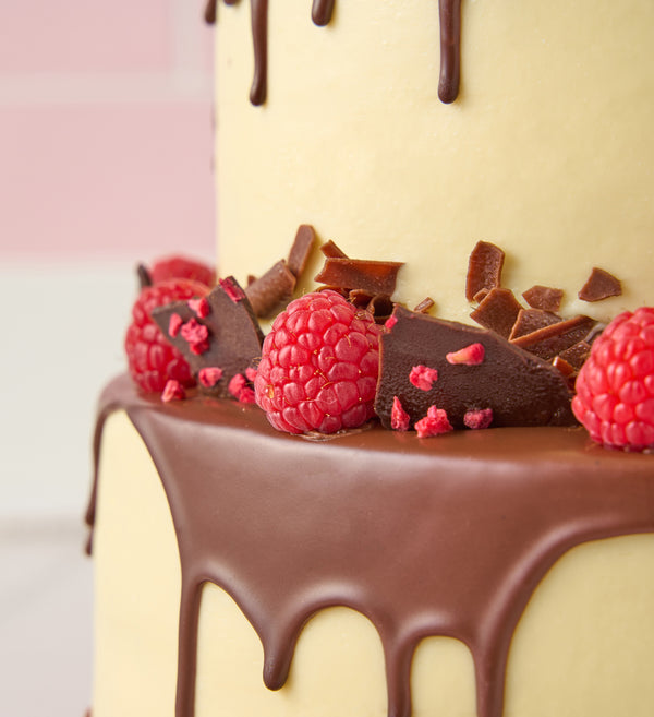 Two Tier Chocolate and Raspberry Cake