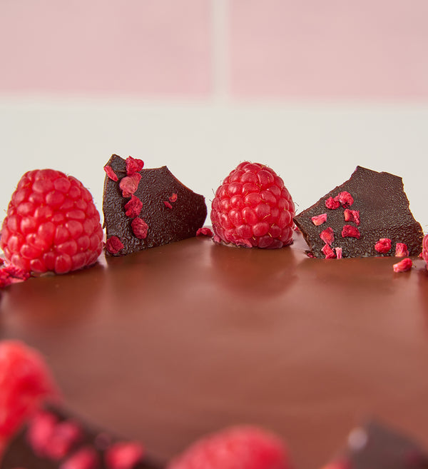 Two Tier Chocolate and Raspberry Cake