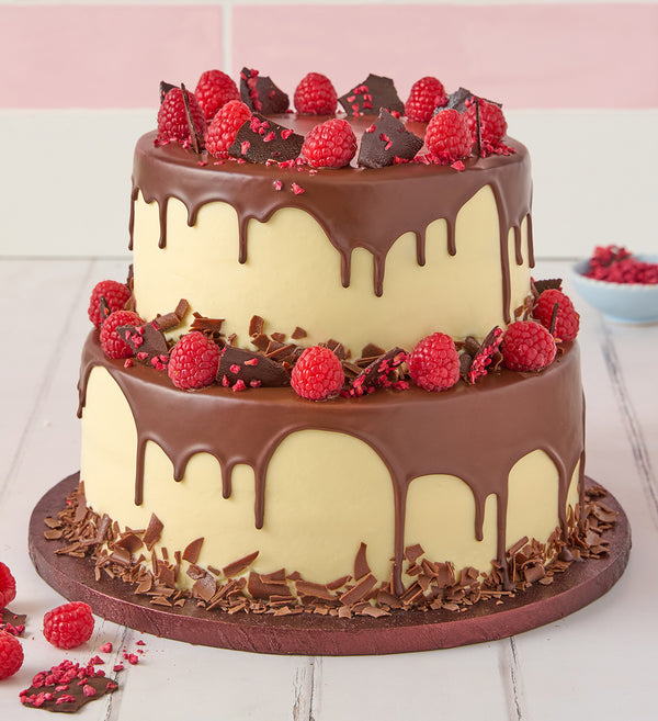 Two Tier Chocolate and Raspberry Cake