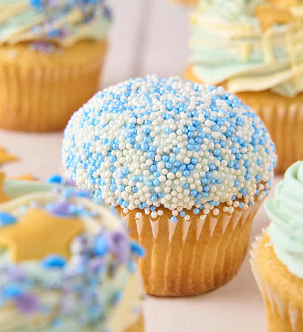 Blue Cupcake Box