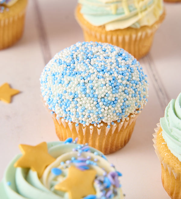 Blue Cupcake Box