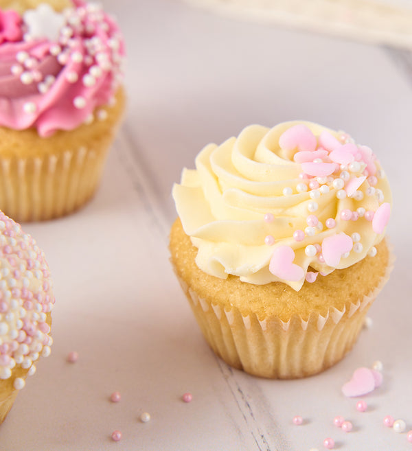 Pink Mini Cupcake Box