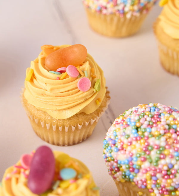 Rainbow Mini Cupcake Box