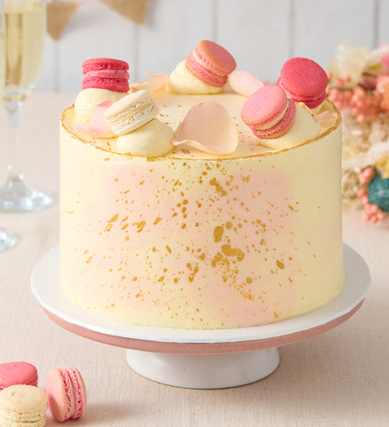 Pastel Macaron Pink Cake